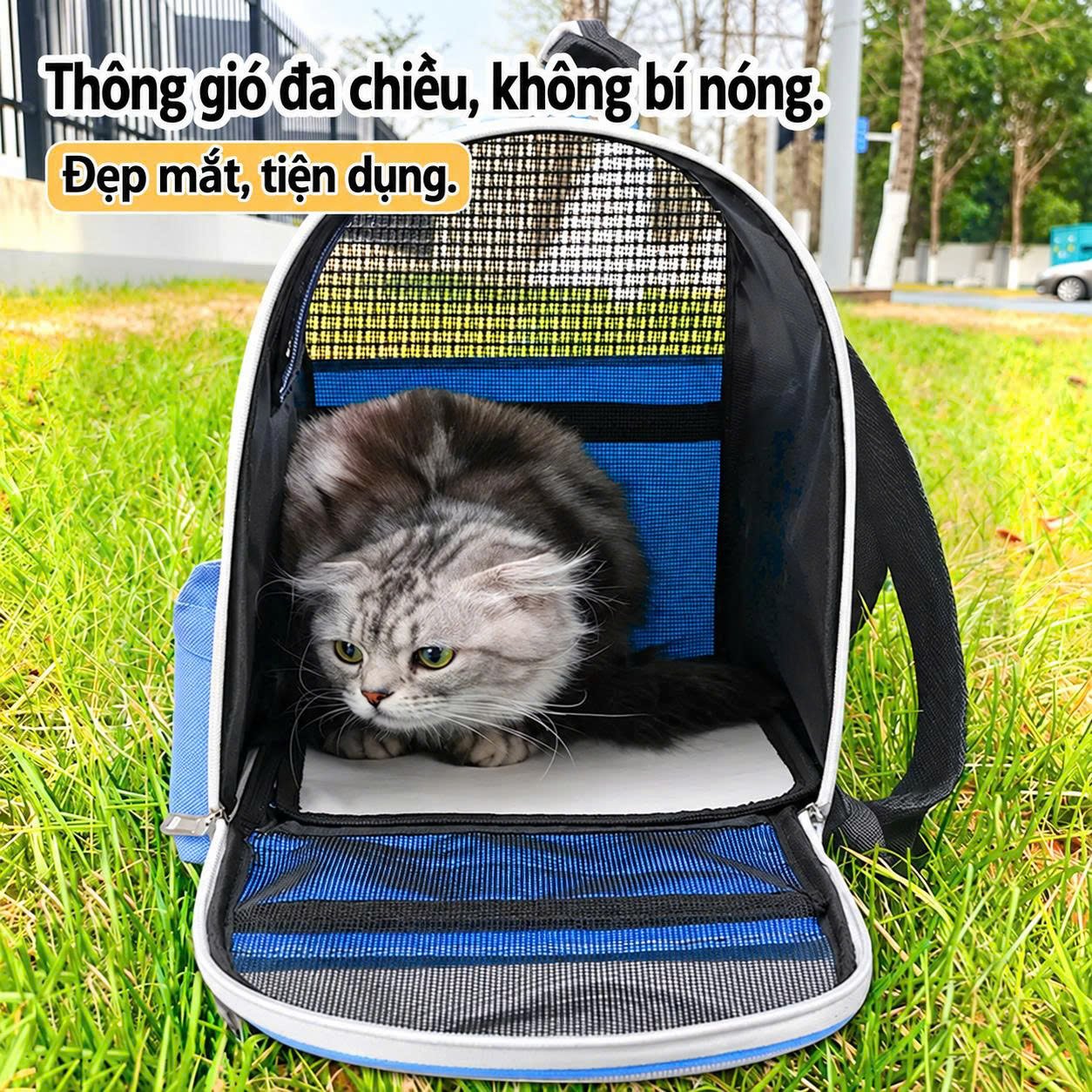 Ảnh sản phẩm