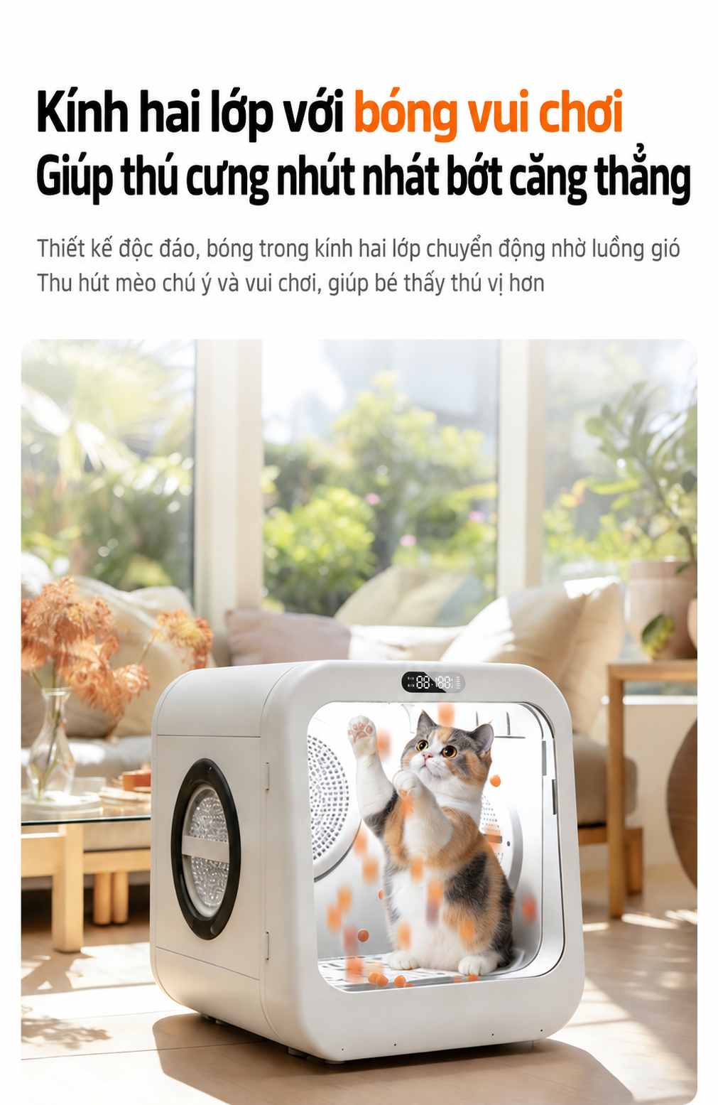 Ảnh sản phẩm